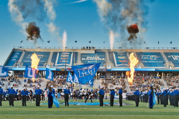 Flags on Field